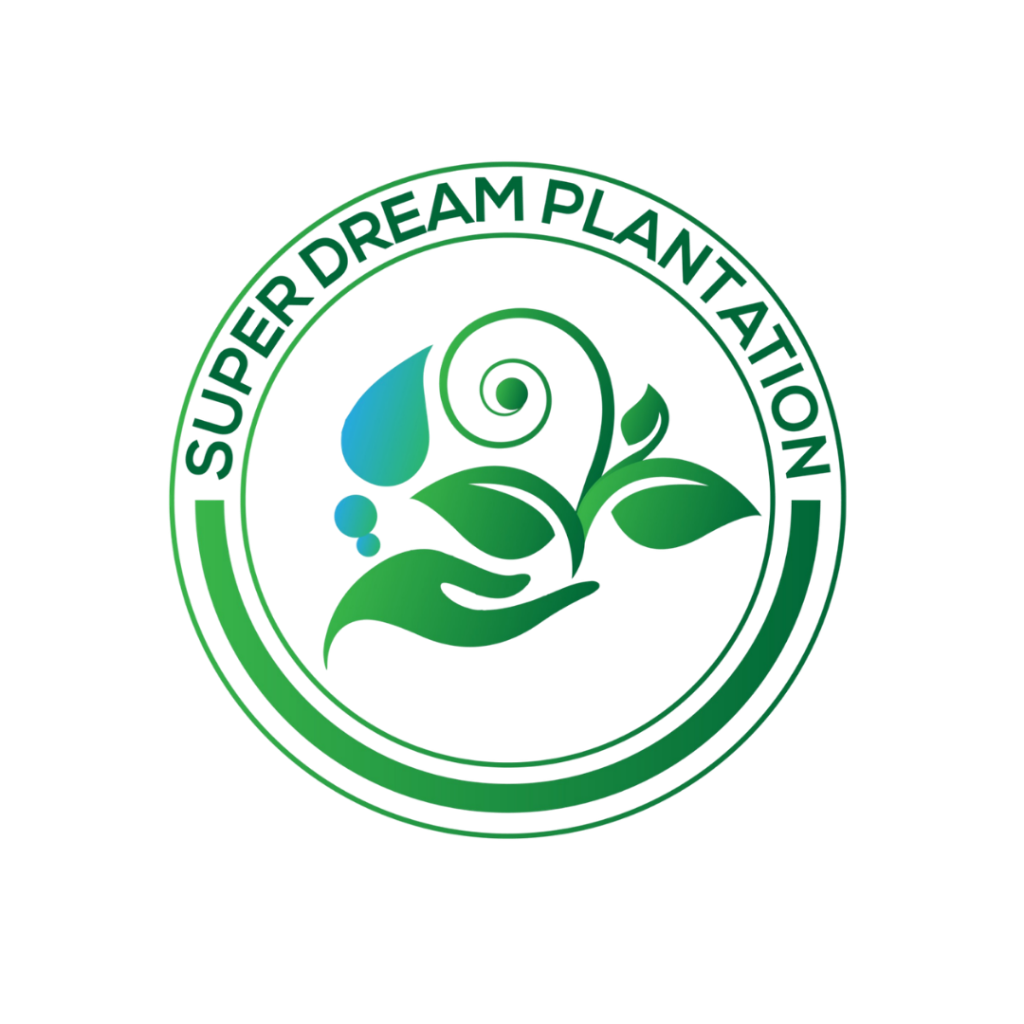 Super Dream Plantation